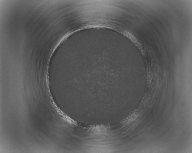 X0000057100950200509091200