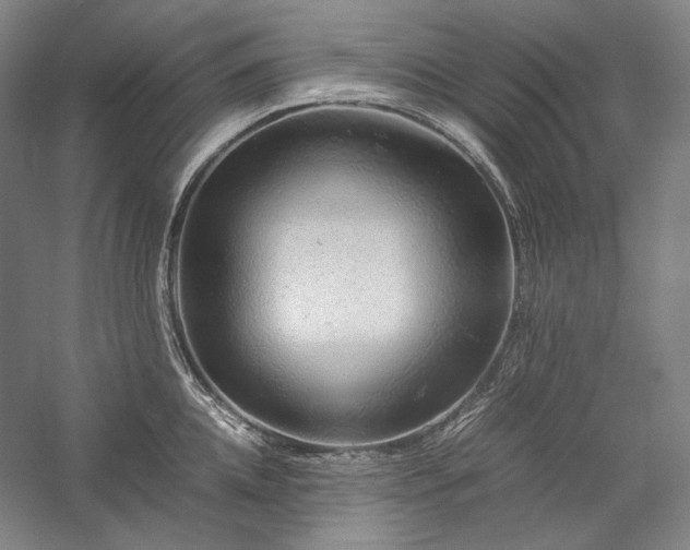 X0000057100952200509091200