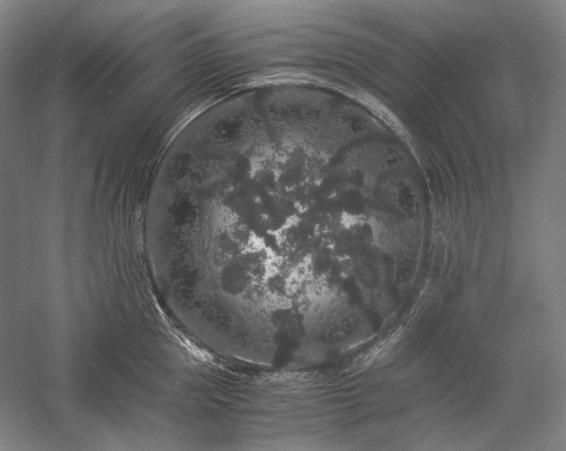 X0000057100953200509091200