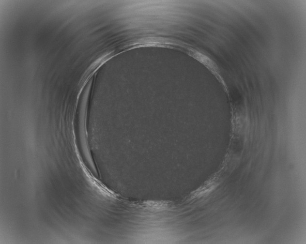 X0000057100954200509091200