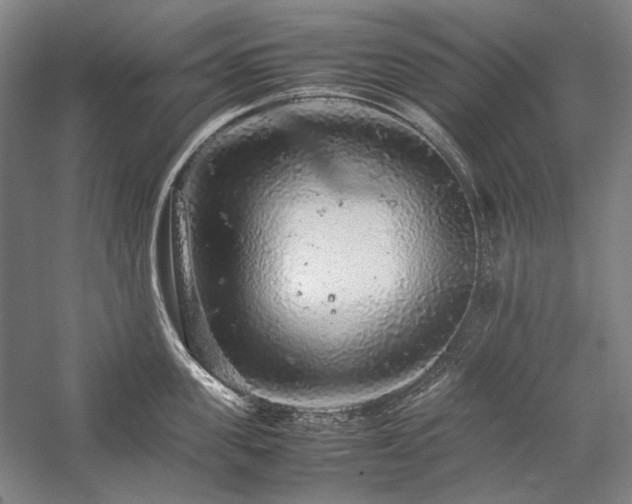 X0000057100955200509091200