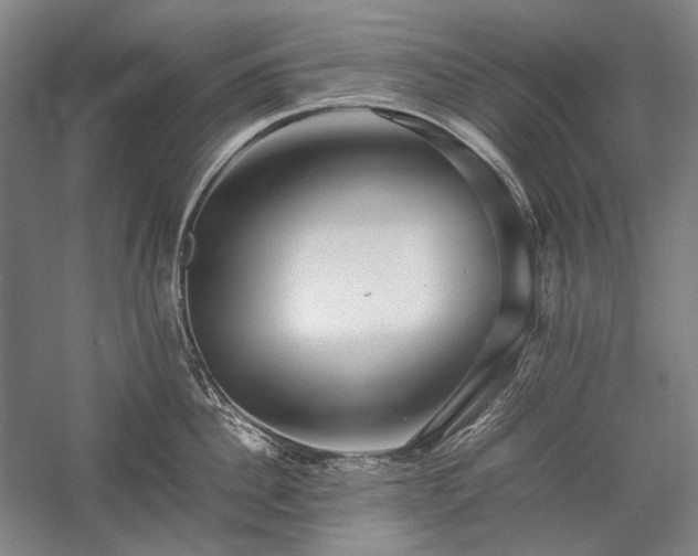 X0000057100956200509091200