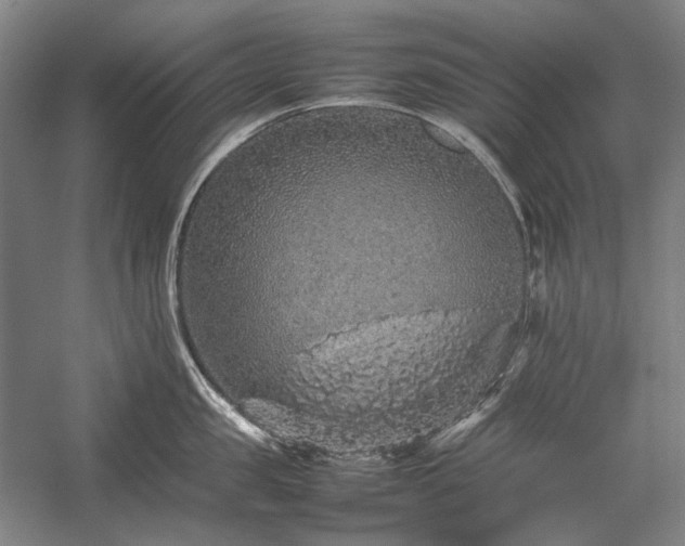 X0000057100957200509091200