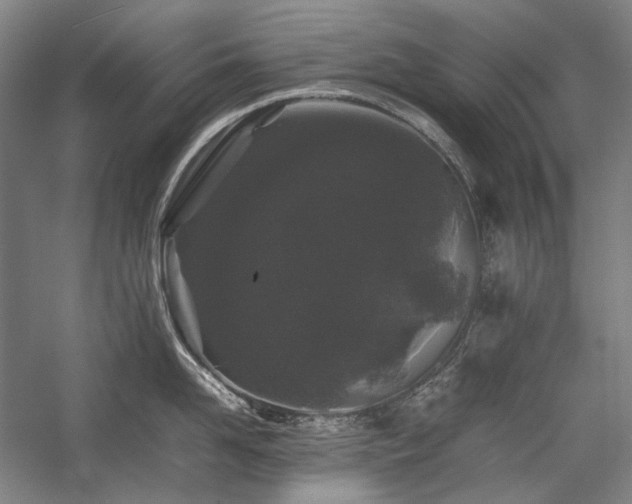 X0000057100958200509091200