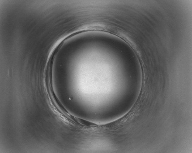 X0000057100960200509091200