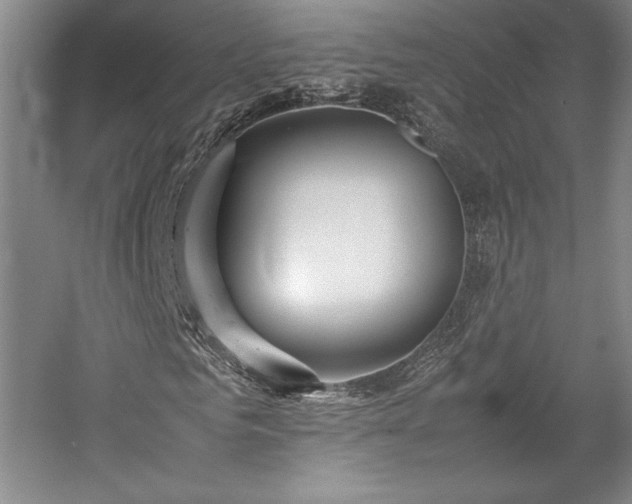 X0000057100961200509091159