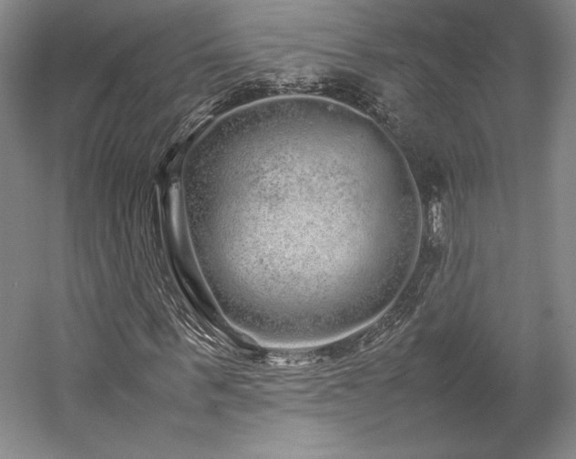 X0000057100963200509091159