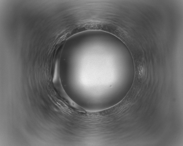 X0000057100964200509091159