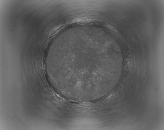 X0000057100966200509091159