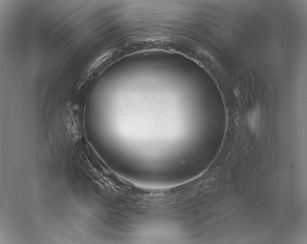 X0000057100968200509091159