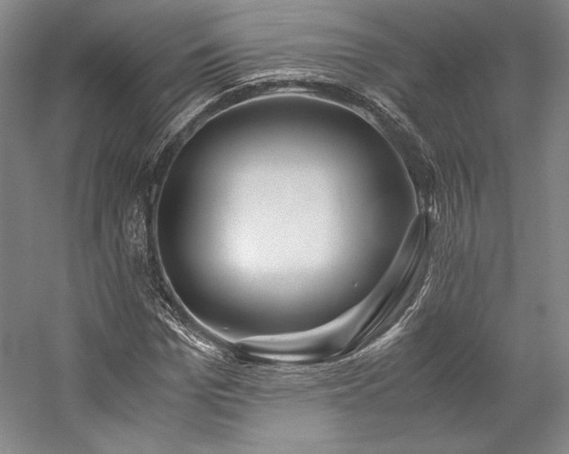 X0000057100969200509091159