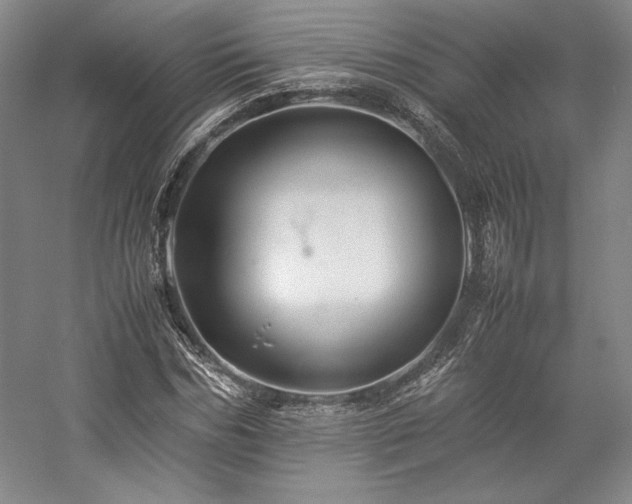 X0000057100970200509091159