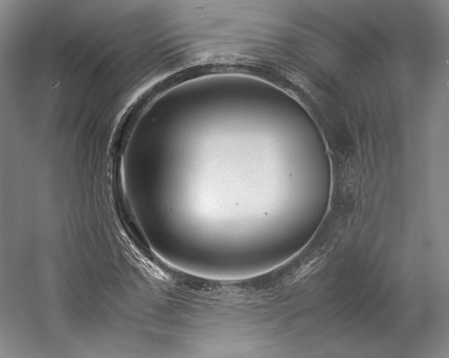 X0000057100971200509091159