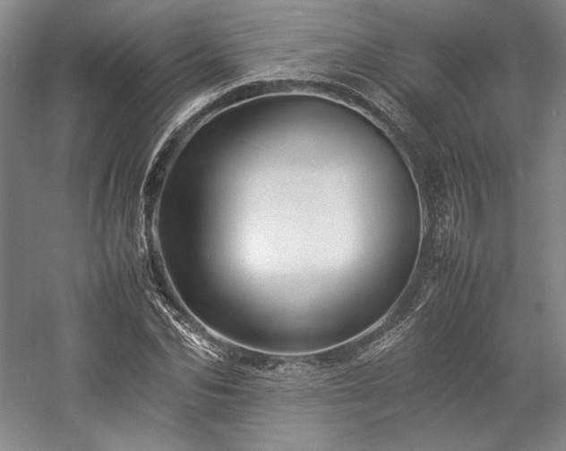 X0000057100974200509091159