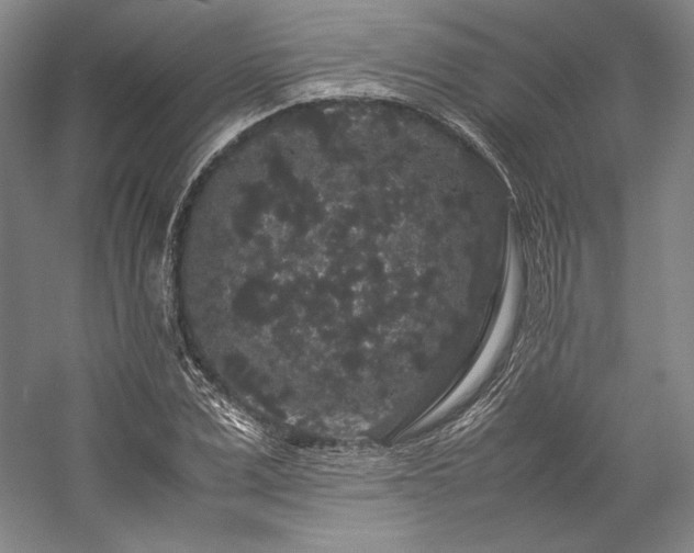 X0000057100975200509091159