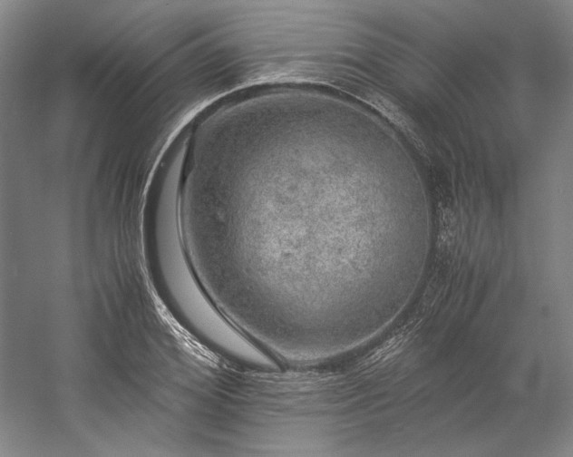 X0000057100980200509091159