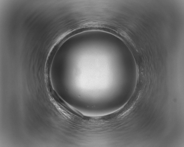 X0000057100981200509091159