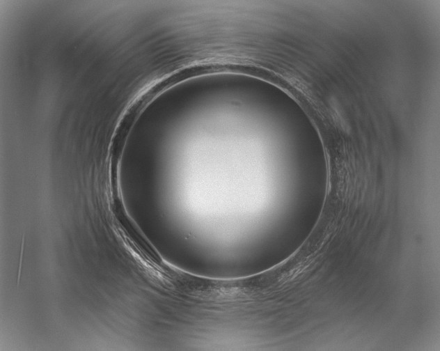 X0000057100982200509091159