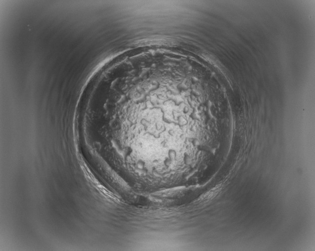 X0000057100983200509091159