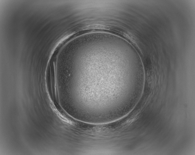 X0000057100987200509091159