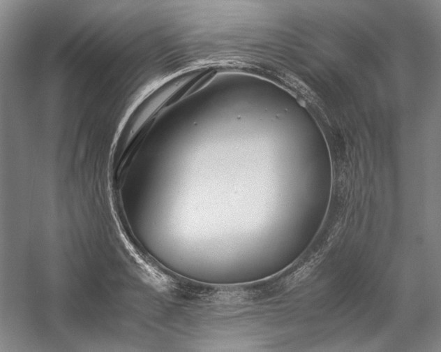 X0000057100989200509091159