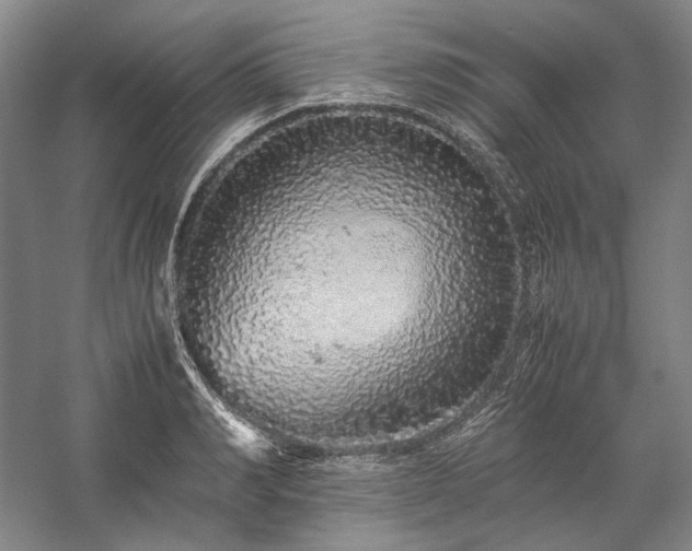 X0000057100990200509091159