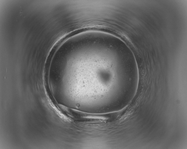 X0000057100991200509091159