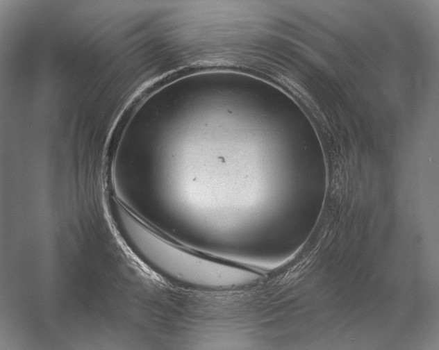 X0000057100992200509091159