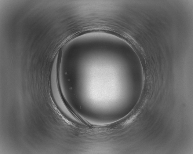 X0000057100993200509091159