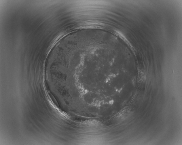 X0000057100994200509091159