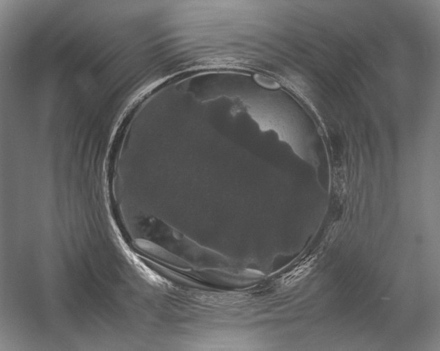 X0000057100995200509091159