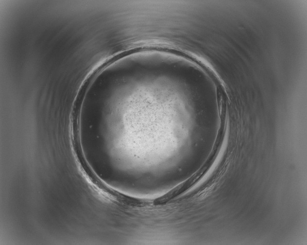 X0000057100999200509091159