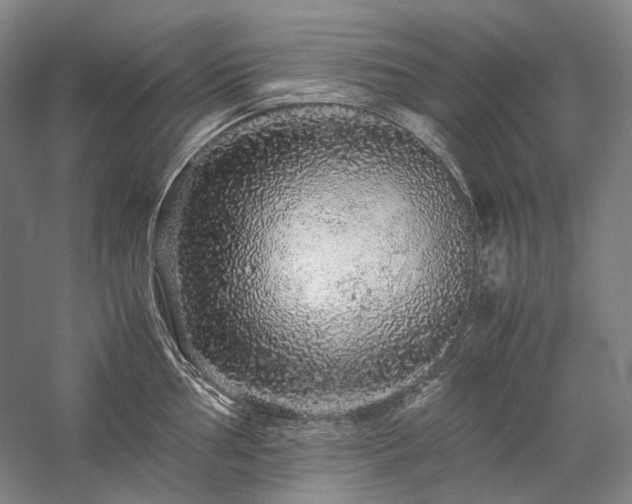 X0000057101002200509091159