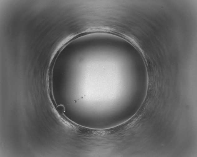 X0000057101003200509091159