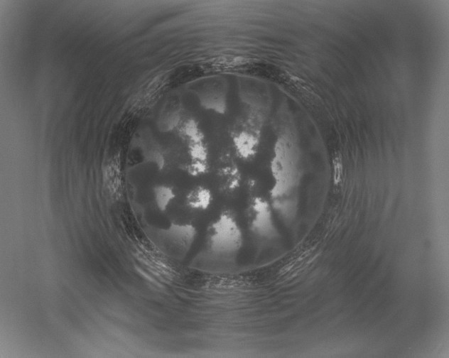 X0000057101011200509091158