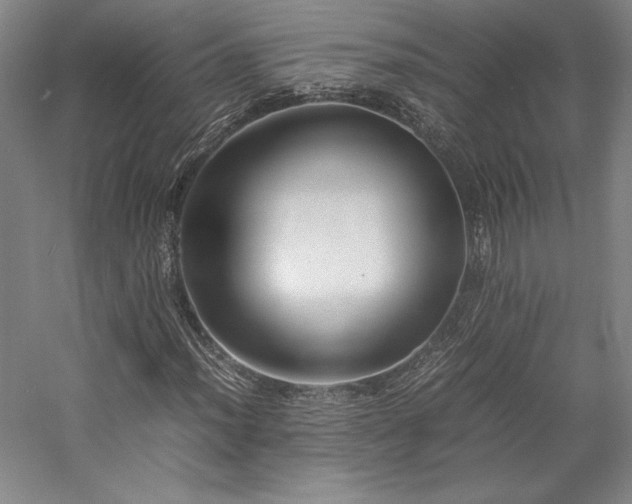 X0000057101012200509091158