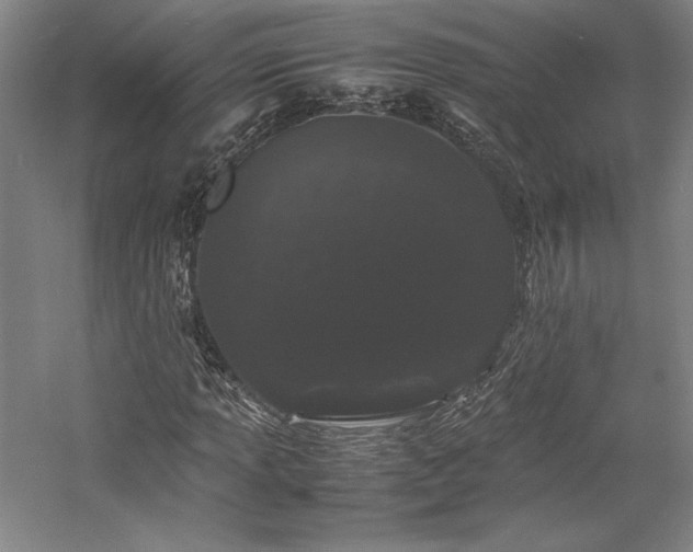 X0000057101013200509091158