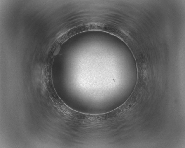 X0000057101015200509091158