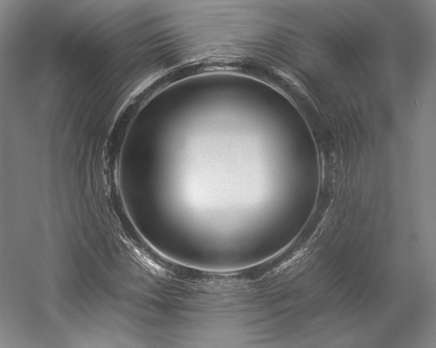 X0000057101018200509091158