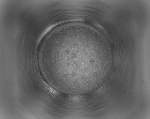 X0000057101019200509091158