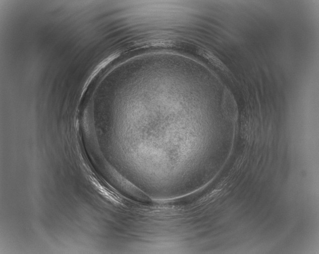 X0000057101026200509091158