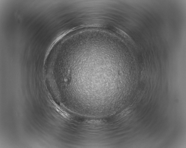 X0000057101027200509091158