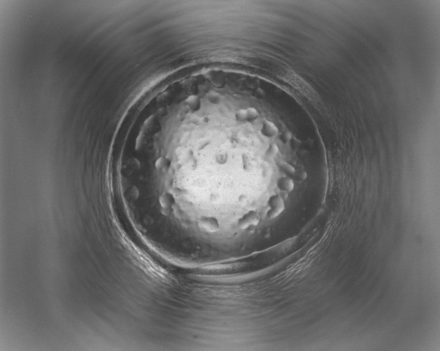 X0000057101028200509091158