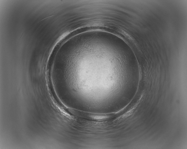 X0000057101029200509091158