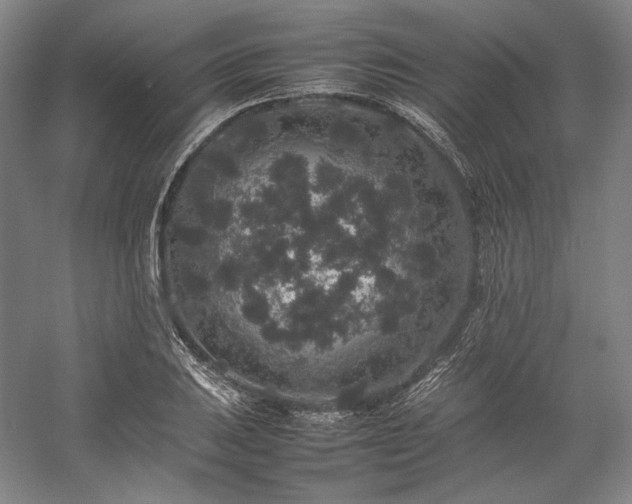 X0000057101031200509091158