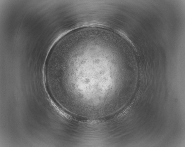 X0000057101032200509091158