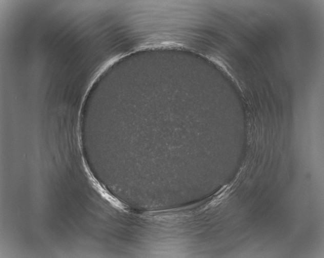 X0000057101038200509091158