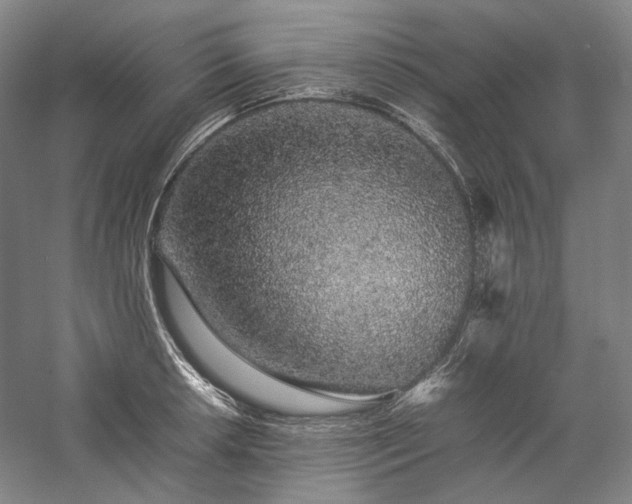 X0000057101042200509091158