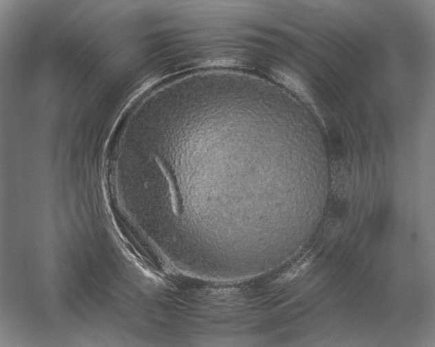 X0000057101043200509091158