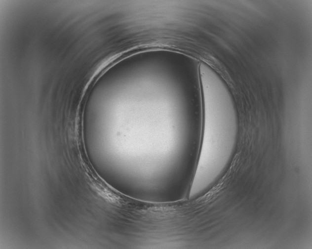 X0000057101044200509091158